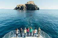 Seward Glacier Dinner Cruise thumbnail 6