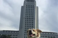 Los Angeles Haunted Theater Tour thumbnail 2