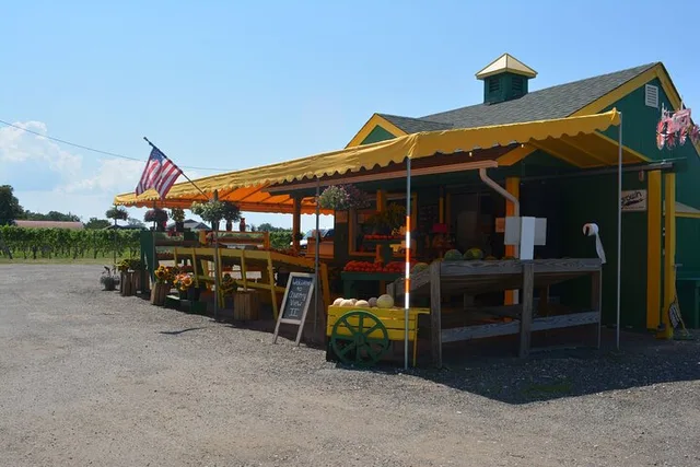 Mattituck Wine Country Bike Tour - Image 6