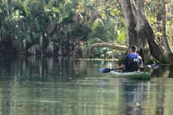 Silver Springs Manatee Kayak Tour 90 Min thumbnail 5