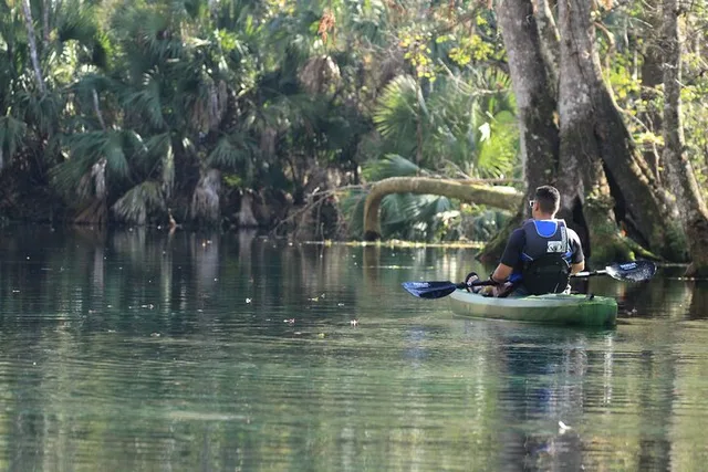Silver Springs Manatee Kayak Tour 90 Min - Image 5