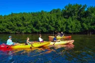 Sarasota Mangrove Kayak Tour to Hidden Beach thumbnail 4