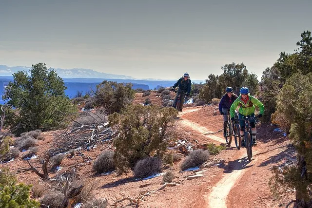 Moab Mountain Biking Tour Intermediate 4 hr - Image 6