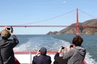 San Francisco Bridge-to-Bridge Cruise 90 Minutes thumbnail 5