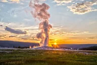 Yellowstone Wildlife Biologist Tour thumbnail 6
