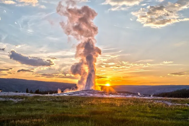 Yellowstone Wildlife Biologist Tour - Image 6