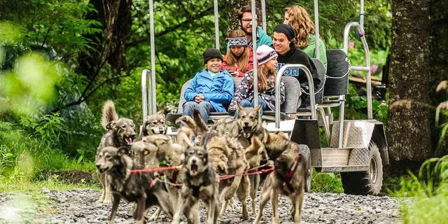 Seward Dog Sled Ride and Kennel Tour - Image 1