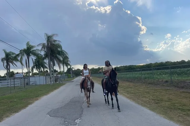 Miami Horseback Experience - Image 3