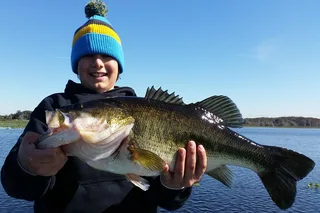 Orlando Bass Fishing Tour on Butler Chain of Lakes