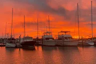 Marco Island Eco Boat Tour at Sunset thumbnail 5