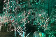 New York City Dyker Heights Christmas Lights Tour thumbnail 3