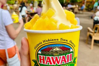 Oahu Circle Island Tour