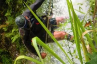 Kauai Jungle Waterfall Adventure thumbnail 6