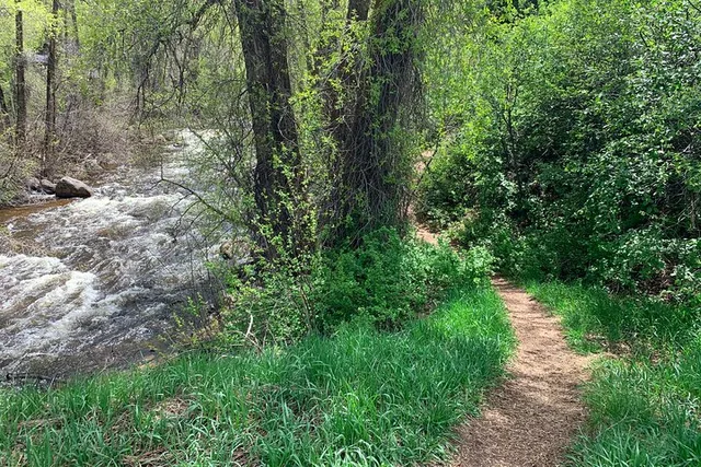 Aspen Hunter Creek Leisure Hike - Image 2