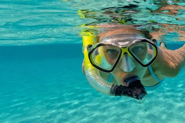 Fort Lauderdale Beach Snorkel & Paddle Adventure - Image 3