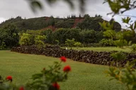 Kauai East Side Trolley Adventure thumbnail 2