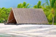 Kona Sea Turtles and Coffee Tour thumbnail 2