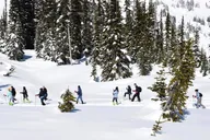 Seattle Mt. Rainier National Park Tour thumbnail 5