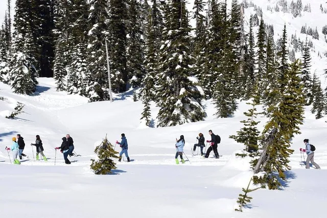 Seattle Mt. Rainier National Park Tour - Image 5