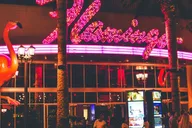 Las Vegas Strip Walking Tour with Free Drink thumbnail 6