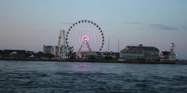 Ocean City Paddleboard Rental - Image 3