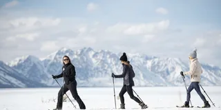 Jackson Wildlife and Snowshoe Tour in Grand Teton