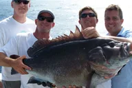 Fort Lauderdale Sportfishing Charter 4 hr thumbnail 3