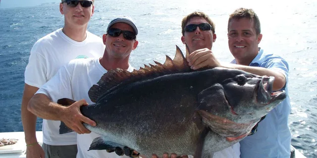 Fort Lauderdale Sportfishing Charter 4 hr - Image 3