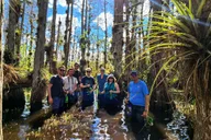 Miami Everglades Tour with Wet Walk and Boat Trips thumbnail 1