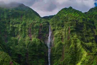 Kauai Eco Adventure Helicopter Tour thumbnail 3