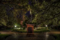 Charleston Oyster Tour thumbnail 5