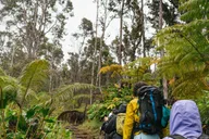 Volcanoes National Park Guided Hike thumbnail 3