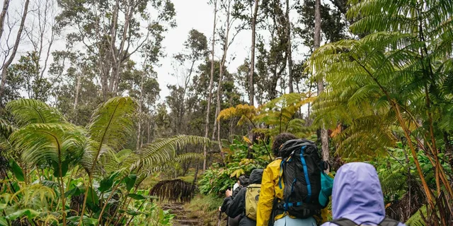 Volcanoes National Park Guided Hike - Image 3