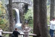 Seattle Mount Rainier Tour thumbnail 2
