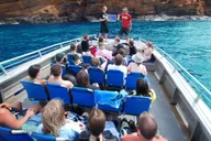 Maui Molokini Snorkel Experience 3.5 Hours thumbnail 1