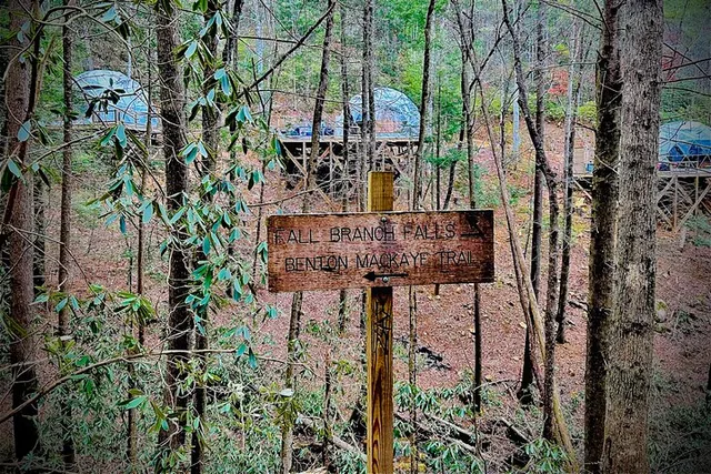 Atlanta Hike and Wine Tasting Tour - Image 5