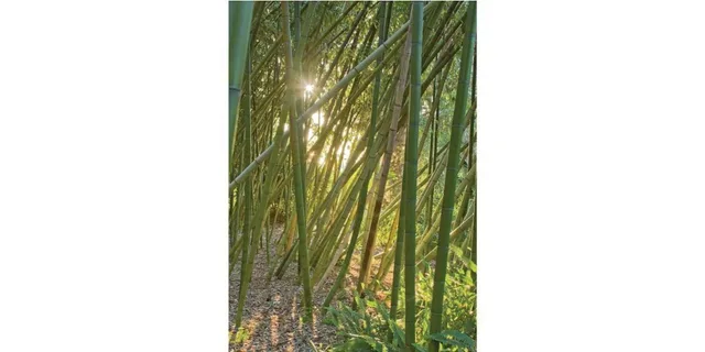 San Diego Scenic and Botanical Tour - Image 3