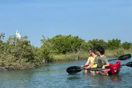 St Augustine Dolphins and Wildlife Ecotour 90 min thumbnail 4