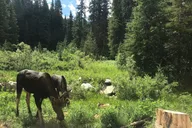 Denver Airport Transfer to Vail or Beaver Creek thumbnail 4