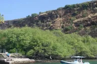 Kona Snorkel Adventure at Captain Cook Monument 4 hr thumbnail 1