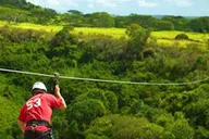 Kauai Zipline Adventure thumbnail 3