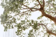 Miami Instagram Tour with Private Photographer thumbnail 5