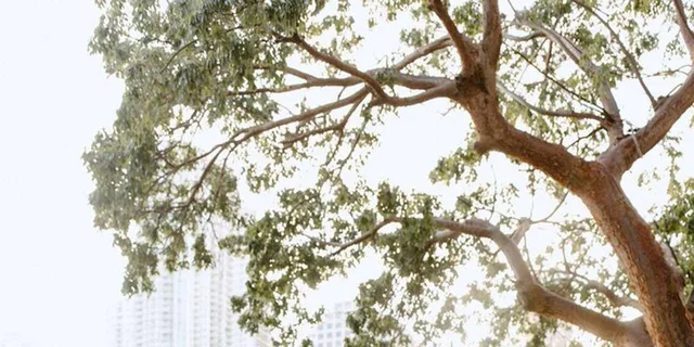 Miami Instagram Tour with Private Photographer - Image 5