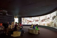 San Antonio Witte Museum Admission thumbnail 2