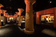 Houston Museum of Natural Science Admission thumbnail 6