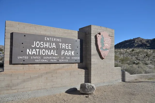 Los Angeles Joshua Tree National Park Private Tour 2-Day - Image 3