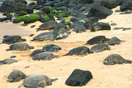 Maui West Maui Tour with Breakfast and Lunch thumbnail 2