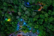 Gatlinburg Moonshine Mountain Coaster Ride thumbnail 4