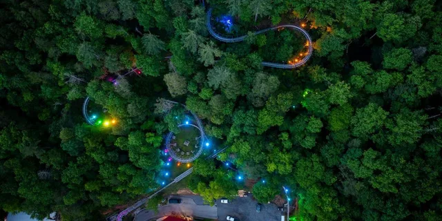 Gatlinburg Moonshine Mountain Coaster Ride - Image 4