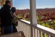 San Francisco Napa & Sonoma Wine Tour thumbnail 3